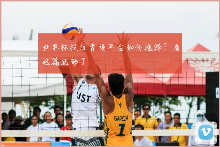 世界杯投注靠谱平台如何选择？看这篇就够了