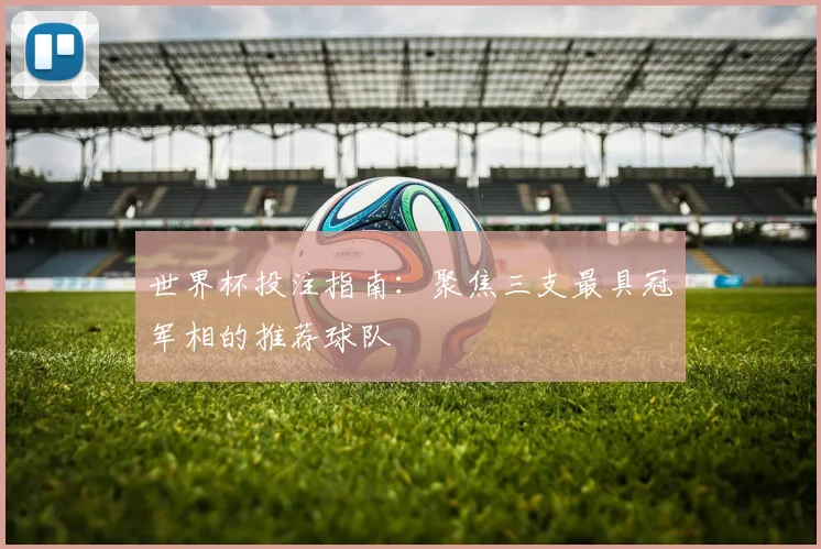 世界杯投注指南：聚焦三支最具冠军相的推荐球队